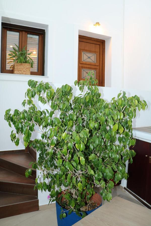 Angelica'S Deluxe Rooms In Adamas Kültér fotó